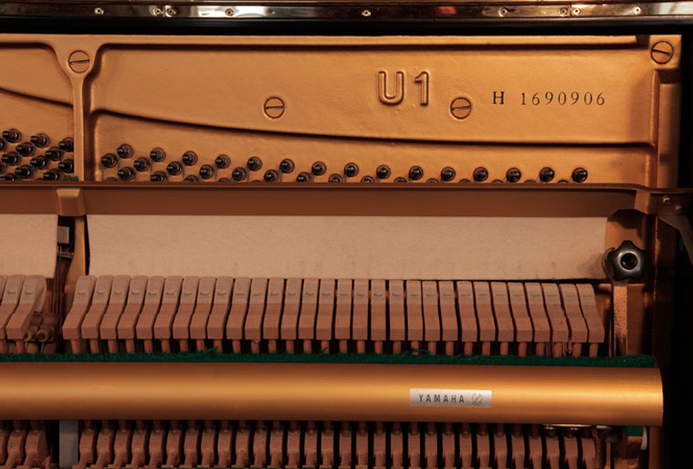 Used Vs New: How to Choose the Right Instrument For You