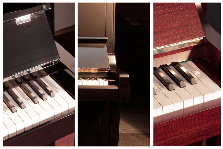 Popular Cabinet Finishes