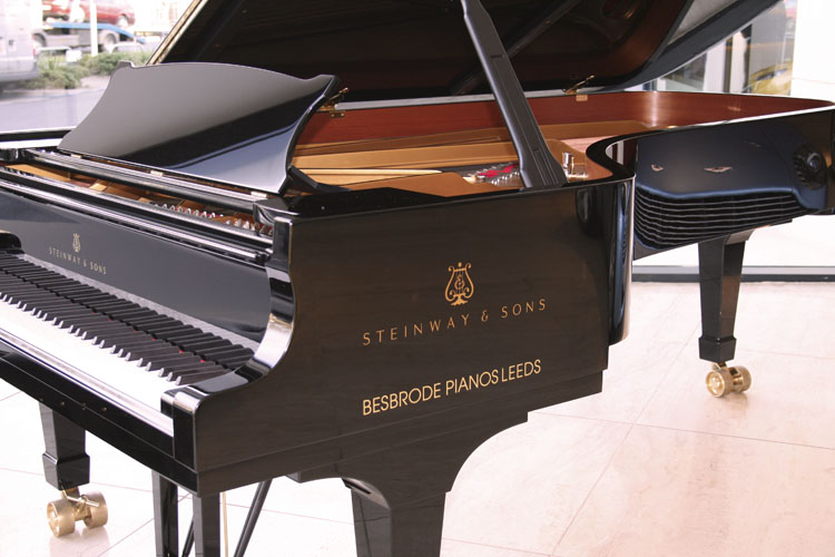  Why 8 out of 10 Concert Pianists Choose a Steinway Piano: The Flagship Steinway D