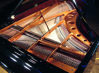 >Bosendorfer Grand Piano for sale.