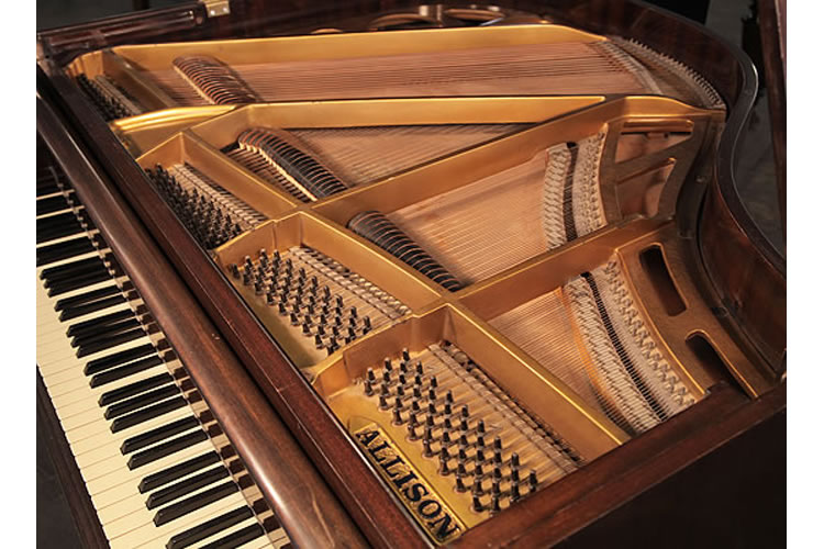 Allison instrument