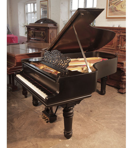Reconditioned, 1900, Steinway Model B grand piano with a satin, black case and fluted, barrel legs. Piano has a three-pedal lyre and an eighty-eight note keyboard.
