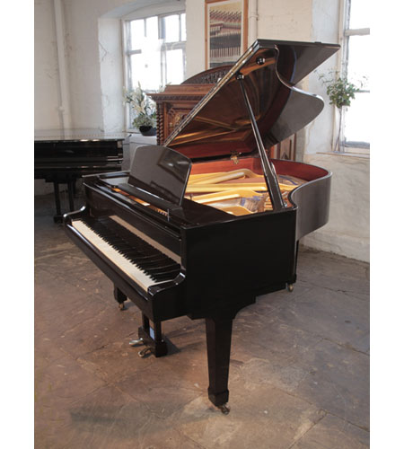 Reconditioned, 1969, Bluthner Model 10 with a polished, black case and spade legs. Piano has an eighty-eight note keyboard and a three-pedal lyre. 