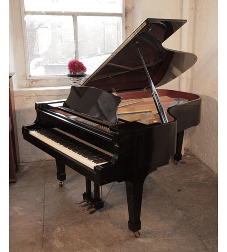 Reconditioned,  1981, Kawai KG-5D grand piano for sale with a black gloss case and spade legs.  Piano has an eighty-eight note keyboard and a three-pedal lyre. 