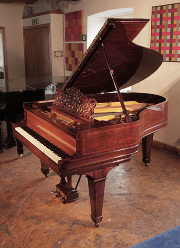 Reconditioned,  1904, Steinway Model A grand piano for sale with a rosewood case with satinwood stringing accents. 