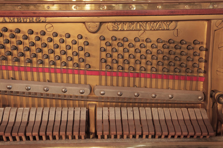 Steinway Manufacturer's  name on frame