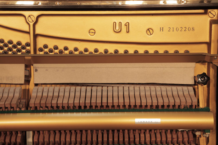 Yamaha model name and serial number on frame